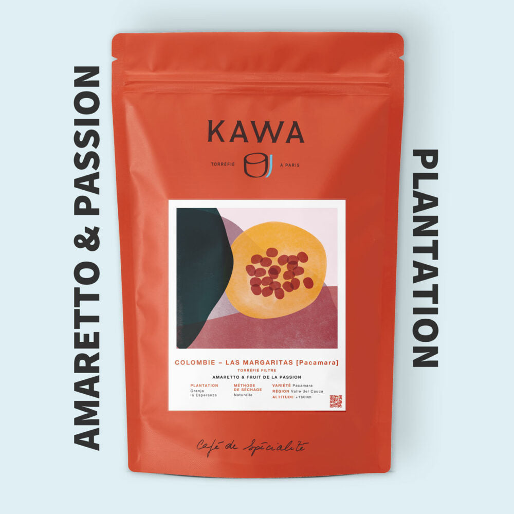 Las Margaritas (Pacamara)