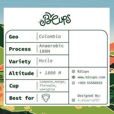 B2Cups - Colombia - Natural - Anaerobic 180H