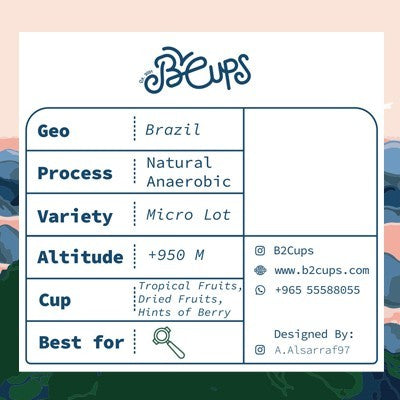 B2Cups - Brazil  - Natural -  Anaerobic Fermentation